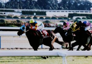 ［名馬フィクション］午前６時。いま、きみのいる場所。 - エリモダンディー、シルクジャスティス