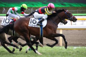 すべての理由が「距離」ではない - フィエールマン物語