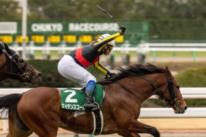 ［重賞回顧］2年5ヶ月ぶりの復活勝利〜2021年・京都金杯〜