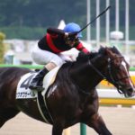 ［写真］蛯名騎手引退によせて