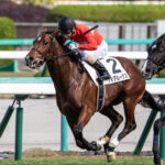 ［一口馬主］個性的で楽しい！　新進気鋭・ワラウカド