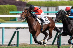 ［一口馬主］個性的で楽しい！　新進気鋭・ワラウカド