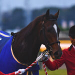 ［種牡馬・血統紹介］日高の大将軍、キタサンブラック