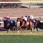 Amazon.co.jp: 馬券 的中馬券 93年有馬記念 トウカイテイオー