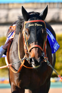 ゴールドドリーム〜黄金の輝きをつなぐ者〜