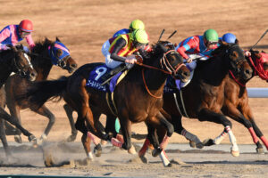「黄金のダート戦国時代」の幕開けを感じさせた、ゴールドドリームの走りを振り返る