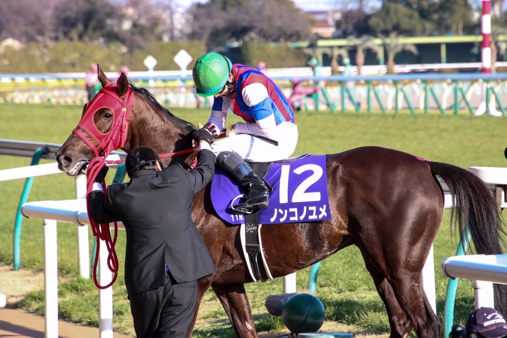 Rewind The Race 夢乃頂点 18フェブラリーステークス 競馬コラム ニュース ウマフリ