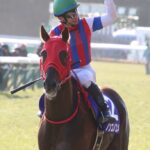 ［Rewind the race］夢乃頂点～2018フェブラリーステークス～