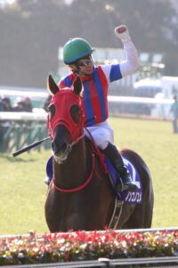 ［Rewind the race］夢乃頂点～2018フェブラリーステークス～