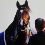 いざ、新時代へ。ジャパンCで3歳馬ながら覇王テイエムオペラオーを撃破した、ジャングルポケットの走りを振り返る。