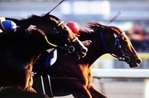 「東京では負けない」　ジャングルポケットと東京競馬場
