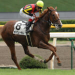 ［皐月賞］前哨戦で覚醒……オルフェーヴルの転機、スプリングSを振り返る。