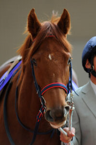 アイムユアーズ～強豪世代に誕生した北海道クイーン～
