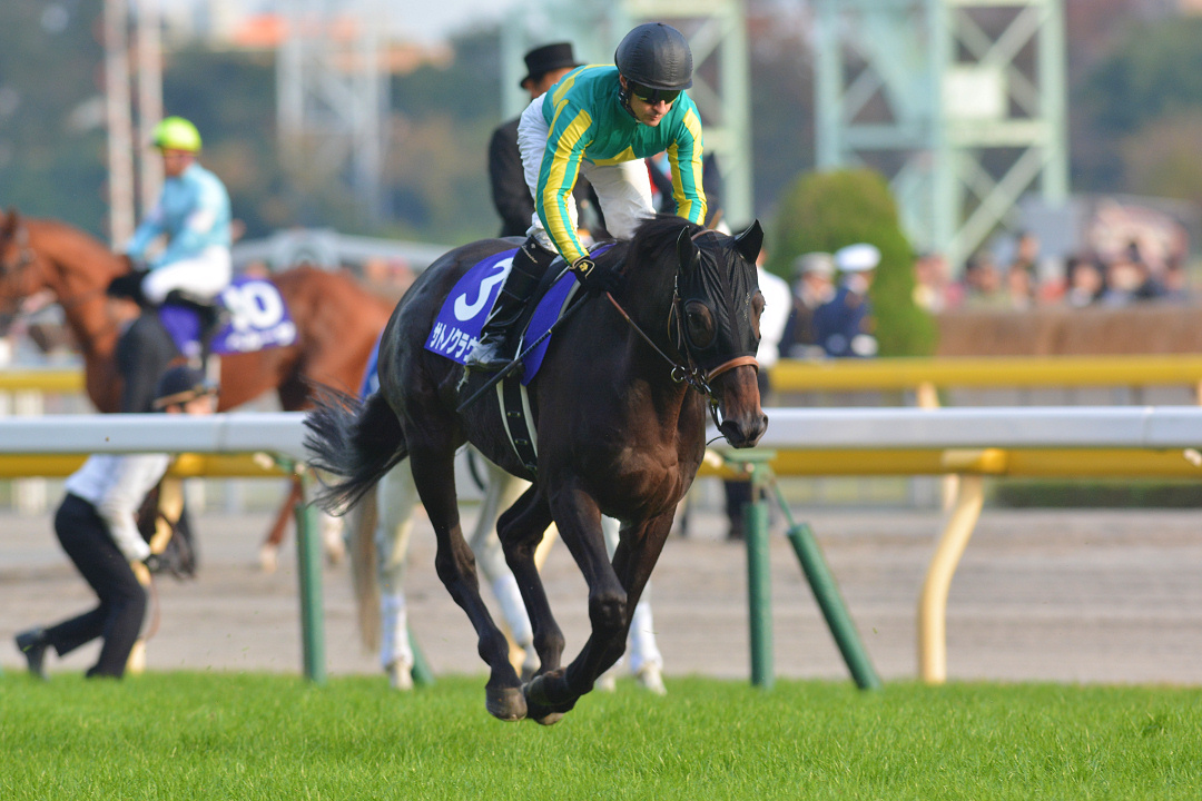 サトノクラウン〜世界で躍動した漆黒の王〜 | ウマフリ | 競馬コラム