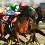 「競馬嫌い」の僕を「競馬好き」にした競走馬、ヤマカツエース。