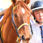 皆に愛された大輪の花~2015年桜花賞馬・レッツゴードンキ~