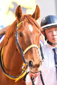 皆に愛された大輪の花～2015年桜花賞馬・レッツゴードンキ～