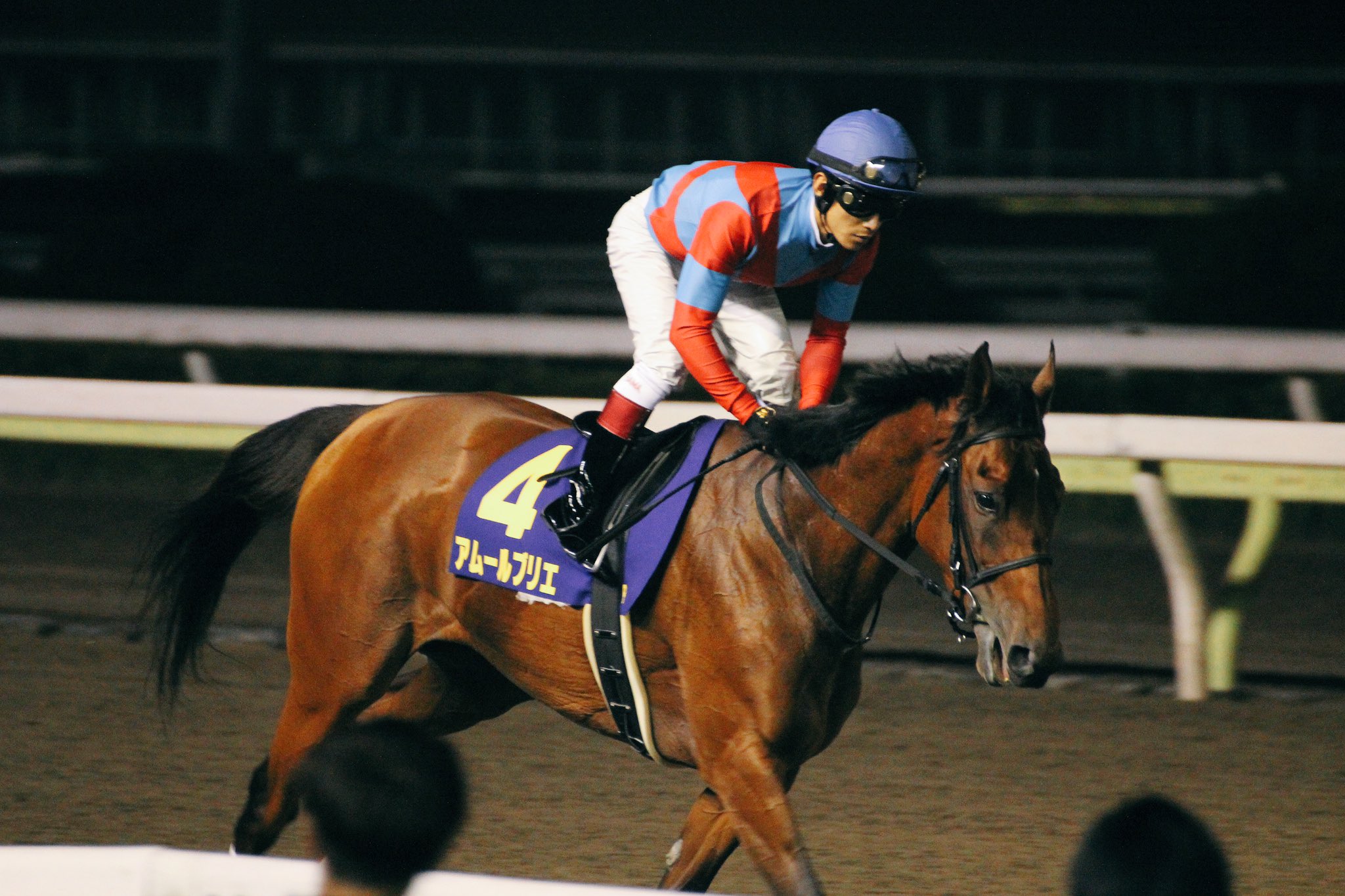 砂の長距離女王！ エンプレス杯を連覇した馬たち | ウマフリ | 競馬