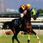 三冠すべてで「13番枠」、忌み数に挑んだ牝馬バプティスタについて