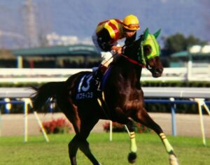 三冠すべてで「13番枠」、忌み数に挑んだ牝馬バプティスタについて
