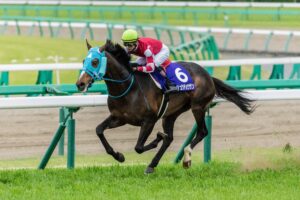 ［石神深一ブログ］中山GJが近づいてきました！