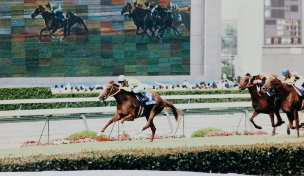 マヤノトップガン〜日本競馬史に残る名勝負を二度も演じたステイヤー