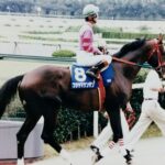 古豪が見せた最後の意地~1996年・金鯱賞~