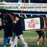 笑う門には福来る! 4連勝で菊を制した『鬼脚』の上がり馬、マチカネフクキタル。