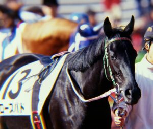 ローズバド～薔薇一族の蕾～