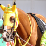 ゲットだぜ!競馬界の「ポケモン」馬、大集合!