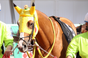 ゲットだぜ！競馬界の「ポケモン」馬、大集合！