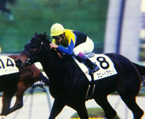 ブロードアピール～砂を切り裂く鬼の末脚～