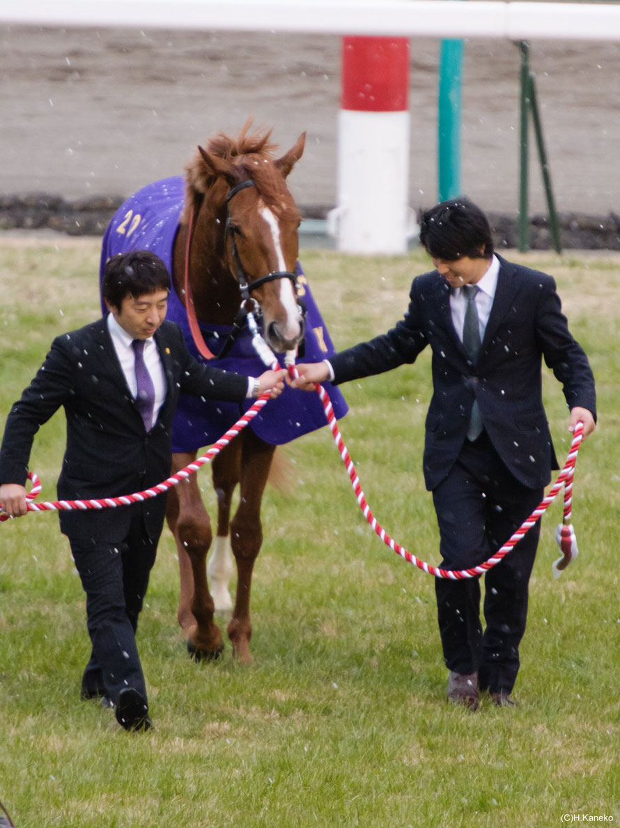 平成名勝負］絵になる男〜2011年有馬記念・オルフェーヴル～ | ウマフリ | 競馬コラム＆ニュース