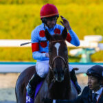 ［重賞回顧］第71回朝日杯フューチュリティステークス（GⅠ）～5度目の2着～