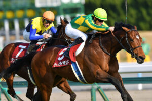 私を変えた1頭～サトノダイヤモンドとの出会い～