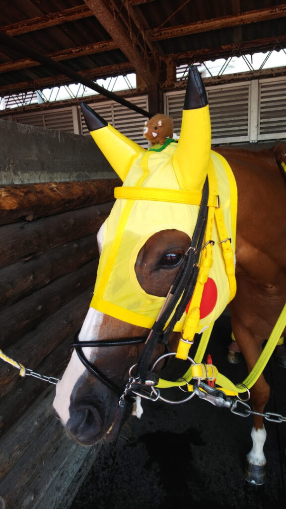 インタビュー 浦和名物 コスプレメンコ のこだわりと想い 浦和 工藤伸輔調教師 競馬コラム ニュース ウマフリ