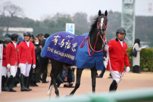 有馬記念 おうまさんイヤーマフ　芦毛 JRA 有馬記念 G1 非売品 おうまさんイヤーマフ 芦毛｜Yahoo
