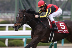 ［重賞回顧］第14回阪神カップ（GⅡ）～桜花賞馬復権～