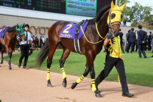 ニシノデイジー〜セイウンスカイの血を持つ馬に惹かれて〜