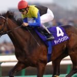 競走馬と安楽死〜ディープインパクトとテンポイント〜