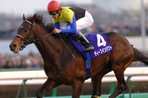 競走馬と安楽死〜ディープインパクトとテンポイント〜