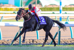 ［重賞回顧］第36回ホープフルステークス（GⅠ）～よろこびの歌～