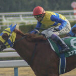 ［Rewind the race］～2017年京都金杯～