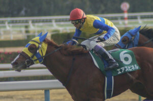 ［Rewind the race］～2017年京都金杯～