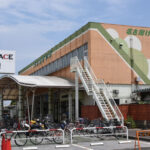 東海ダービーと初心者のための名古屋競馬観戦スポット