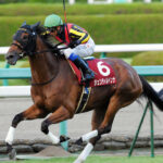 ［Rewind the race］拈華微笑 ～2012年・シンザン記念～