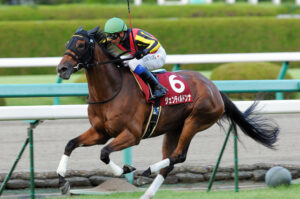 ［Rewind the race］拈華微笑 ～2012年・シンザン記念～