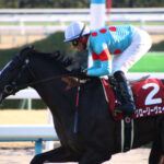 ［Rewind the race］血筋之力～2019年日経新春杯～