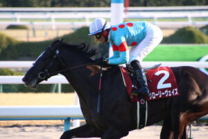 ［Rewind the race］血筋之力～2019年日経新春杯～