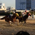現場にいた者だけが見た、勝負を分けた瞬間。~2016年川崎記念~